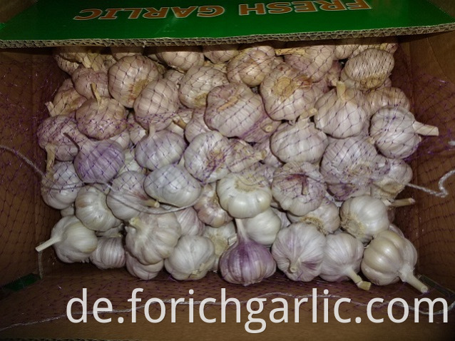 Different Sizes Fresh Garlic